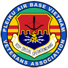 Pleiku airbase association logo